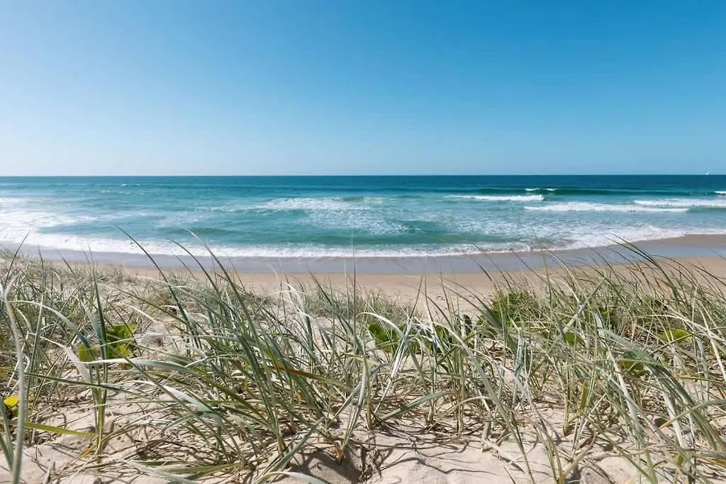Coastal Charm - Pet & Family Friendly Lejlighed Marcoola Australien